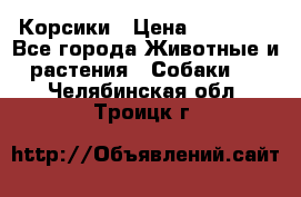 Корсики › Цена ­ 15 000 - Все города Животные и растения » Собаки   . Челябинская обл.,Троицк г.